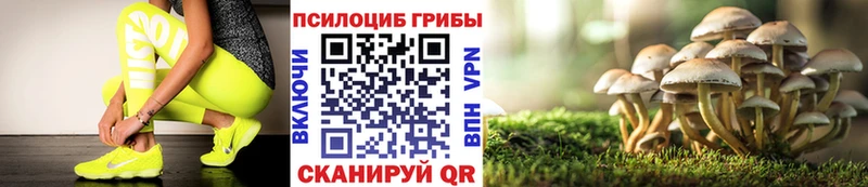 Купить  Ликино-Дулёво  Псилоцибиновые грибы MAGIC MUSHROOMS 